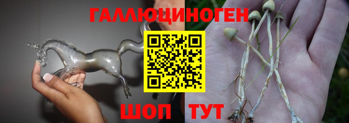 Галлюциногенные грибы Psilocybine cubensis Луховицы